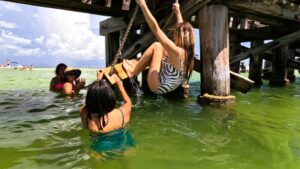 Placida Trestle at Boca Grande Sandbar Swings