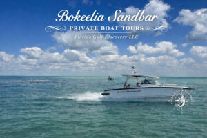 Bokeelia Sandbar with Florida Gulf Discovery LLC