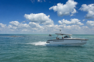 Bokeelia Sandbar Private Boar Tours with Florida Gulf Discovery LLC