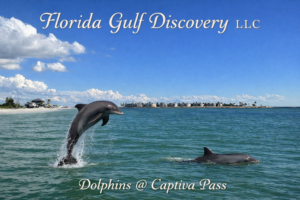 Captiva Pass Private Boat Trip with Florida Gulf Discovery LLC
