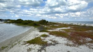 Cayo Costa Lagoon at Pelican Pass Boat Tours with Florida Gulf Discovery LLC 