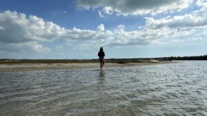 Cayo Costa Lagoon @ Pelican Pass Boat Tours by Florida Gulf Discovery LLC 