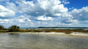 Cayo Costa Lagoon @ Pelican Pass, Private Boat Tours