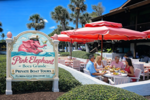 Family Reunion Boat Cruises at Pink Elephant, Boca Grange with Florida Gulf Discovery LLC