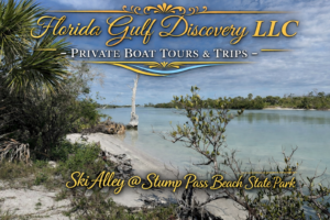 Family Reunion Boat Cruises at Ski Alley with Florida Gulf Discovery LLC