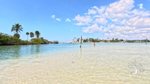Keewaydin Cove, Sandbar Naples with Florida Gulf Discovery