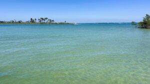 Millers Sandbar, Boat Tours with Florida Gulf Discovery