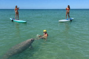 Milton Pass, Private Boat Trips With Florida Gulf Discovery LLC