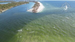 Milton Pass Sandbar at Englewood with Florida Gulf Discovery LLC