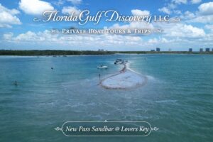 New Pass Sandbar at Lovers Key with Florida Gulf Discovery LLC