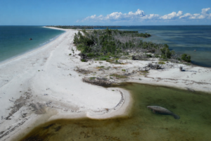 North Captiva Island with Florida Gulf Discovery LLC