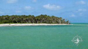 Northeast site of Cayo Costa