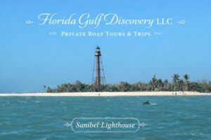 Sanibel Lighthouse Dolphin with Florida Gulf Discovery LLC