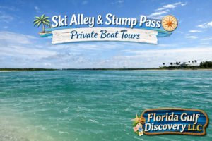 Ski Alley & Stump Pass Private Boat Tours with Florida Gulf Discovery LLC