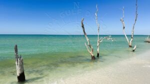 South Pt Cayo Costa Island