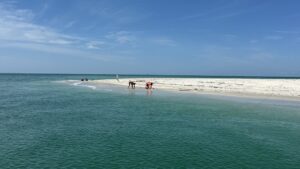 Stump Pass Beach and Park, North side of Stump Pass with Florida Gulf Discovery LLC
