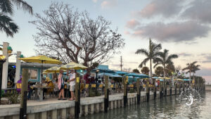 Sunset Tour with Dinner at Sandbar Tiki & Grille by Florida Gulf Discovery LLC