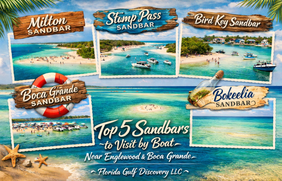 Englewood & Boca Grande with Florida Gulf Discovery LLC