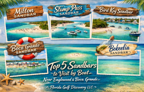 Englewood & Boca Grande with Florida Gulf Discovery LLC