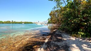 Biscayne Bay from Raccoon Island (Sandspur Island)