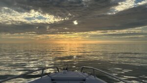 Boat Trips & Trips, Sunset at Gasparilla Pass, Florida Gulf Discovery LLC