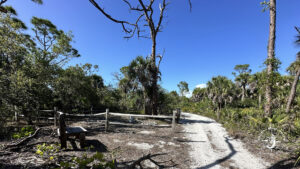 Cayo Costa Pioneer Cemetery, Florida Gulf Discovery
