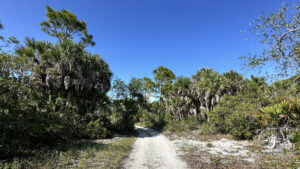 Cemetery Trail — Cayo Costa State Park