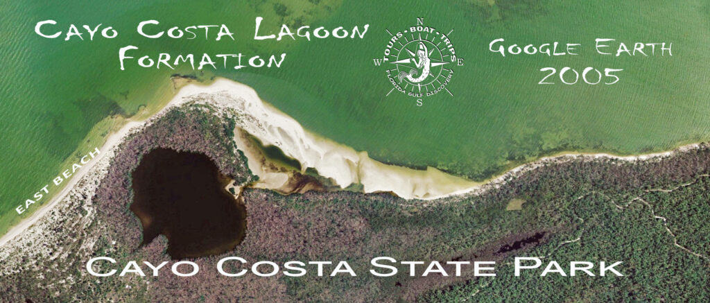 Lagoon Formation 2005 Cayo Costa