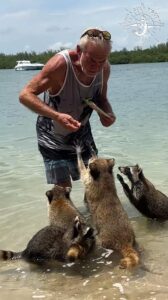 Lunch for Raccoon Day - and me