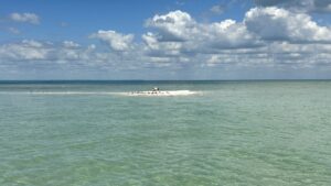 Small remote sandbar with coastal birds in shallow waters near Bokeelia Florida