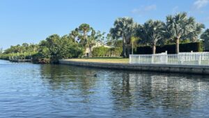 Dolphin fin surfacing in a no wake canal near homes in Cape Haze Florida during private boat tour with Florida Gulf Discovery