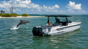 Dolphin swimming beside private boat tour near Port Boca Grande Florida in Southwest Gulf Coast waters