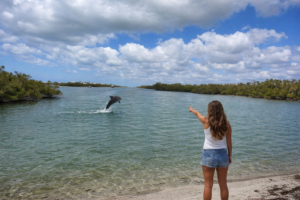 Guest pointing at jumping dolphin near shore in Englewood Florida during private dolphin watching boat tour with Florida Gulf Discovery