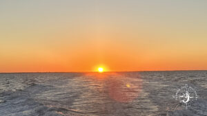 Sunset over Gulf Coast water horizon in Florida during private boat tour with Florida Gulf Discovery