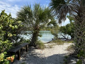 Tropical trail opening to calm water along Ski Alley at Stump Pass Beach State Park with palm trees, mangroves, sandy shoreline, and wooden bench in Southwest Florida