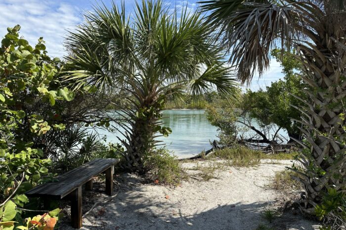 Tropical trail opening to calm water along Ski Alley at Stump Pass Beach State Park with palm trees, mangroves, sandy shoreline, and wooden bench in Southwest Florida