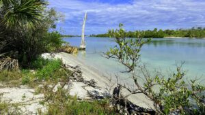 Natural shoreline and tree marker along calm waters at Stump Pass Beach State Park in Southwest Florida
