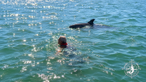 Captain Pavel swimming beside a curious bottlenose dolphin at Boca Grande Sandbar in Gasparilla Sound, Southwest Florida.