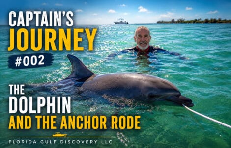 Friendly bottlenose dolphin playing with Captain Pavel's anchor rode near Boca Grande Sandbar during a private boat tour in Southwest Florida.