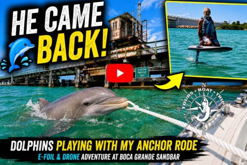 YouTube thumbnail showing a bottlenose dolphin holding Captain Pavel's anchor rode near the Historic Placida Trestle, with an e-foil adventure at Boca Grande Sandbar in Southwest Florida.