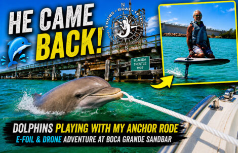 A bottlenose dolphin plays with an anchor rope near Boca Grande Sandbar while Captain Pavel rides an e-foil beside the historic Placida Trestle in Southwest Florida.
