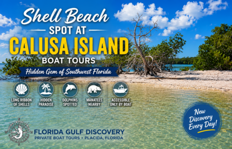 Promotional banner for Shell Beach Spot at Calusa Island featuring turquoise water, shell shoreline, and private boat tours in Southwest Florida.