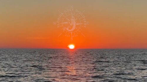 Sun setting over the Gulf of America during a private sunset cruise in Southwest Florida.