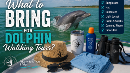 What to bring for dolphin watching tours in Southwest Florida, including sunglasses, hat, sunscreen, binoculars, camera, and drinks.