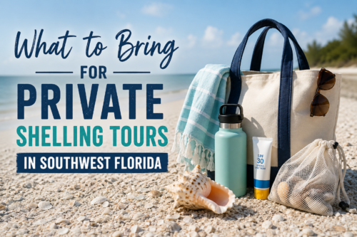 Beach essentials for a private shelling tour in Southwest Florida including a beach bag, towel, reusable water bottle, sunscreen, sunglasses, mesh shell bag, and seashells on a Gulf Coast beach.