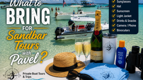 Checklist of essential items to bring on a private sandbar tour with Captain Pavel in Southwest Florida.