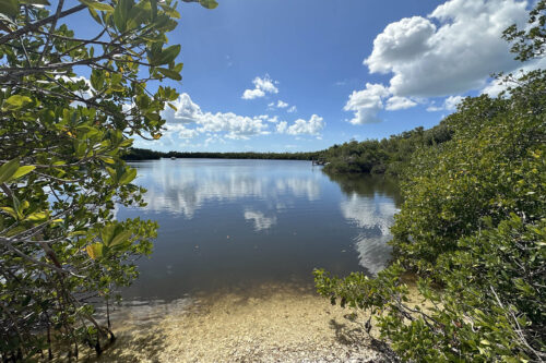 Peaceful lagoon surrounded by mangroves on Calusa Island in Pine Island Sound, Southwest Florida.