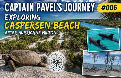Featured image for Captain Pavel's Journey #006 showing an aerial view of Caspersen Beach after Hurricane Milton, with a gopher tortoise, bottlenose dolphins, and the storm-shaped coastline of Southwest Florida.