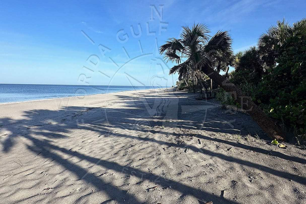 Palm trees casting long shadows at Caspersen Beach near Venice, Florida