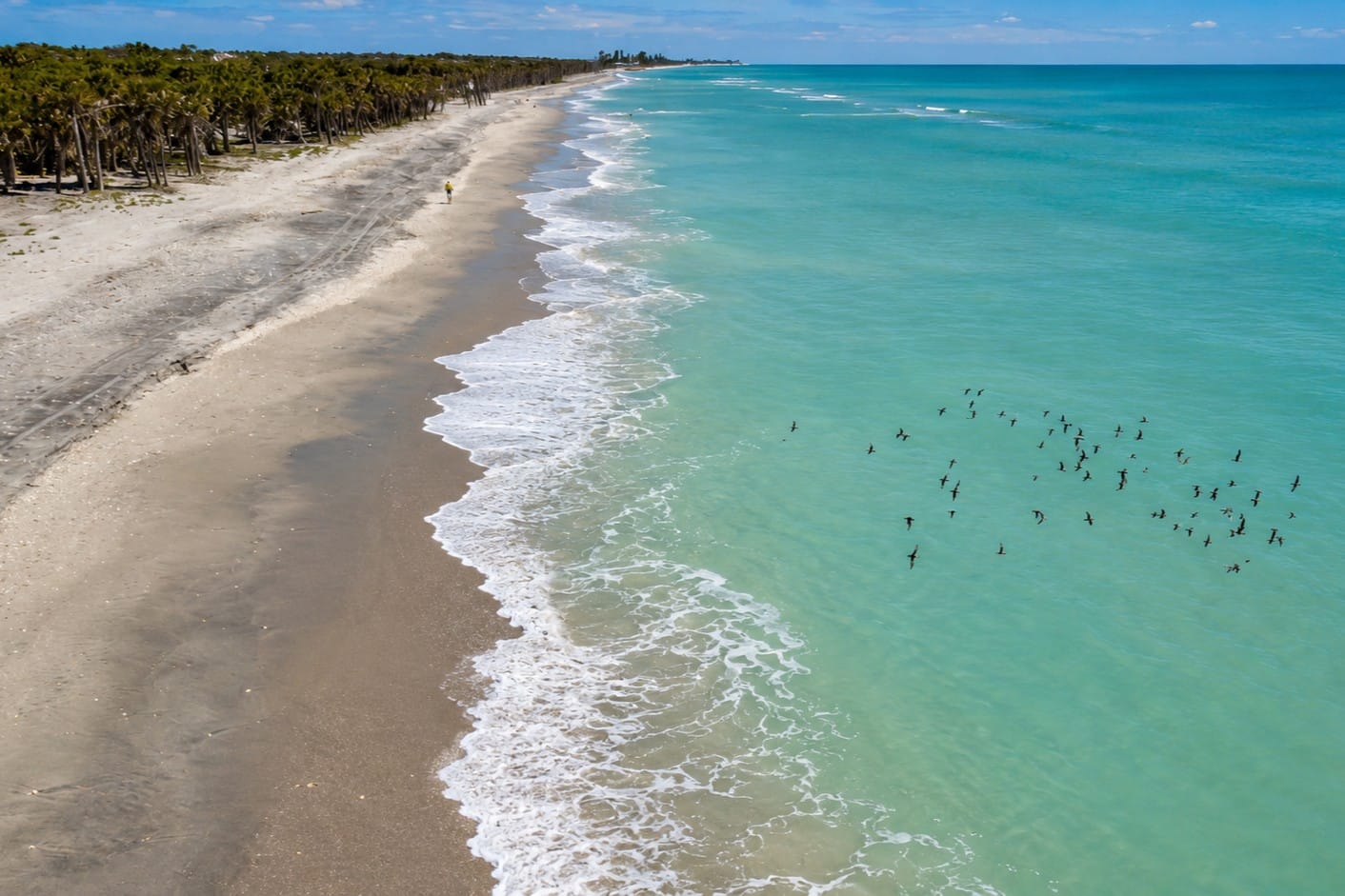 Aerial view of Caspersen Beach and shoreline at Venice, Florida
